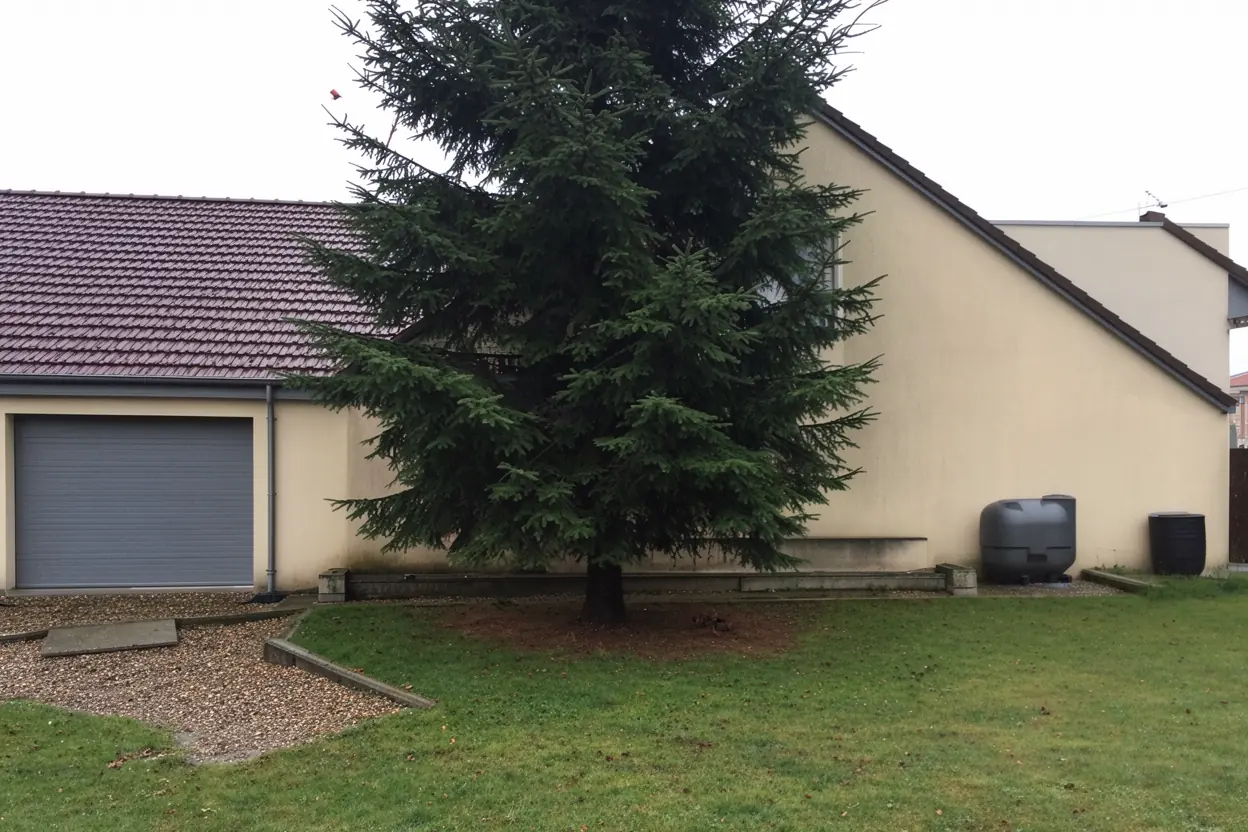 Conifère réduit proprement près du garage à Longueau