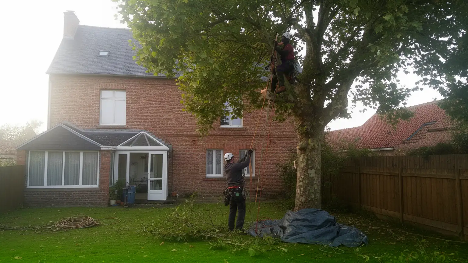 Élagage et abattage à Amiens par un arboriste grimpeur