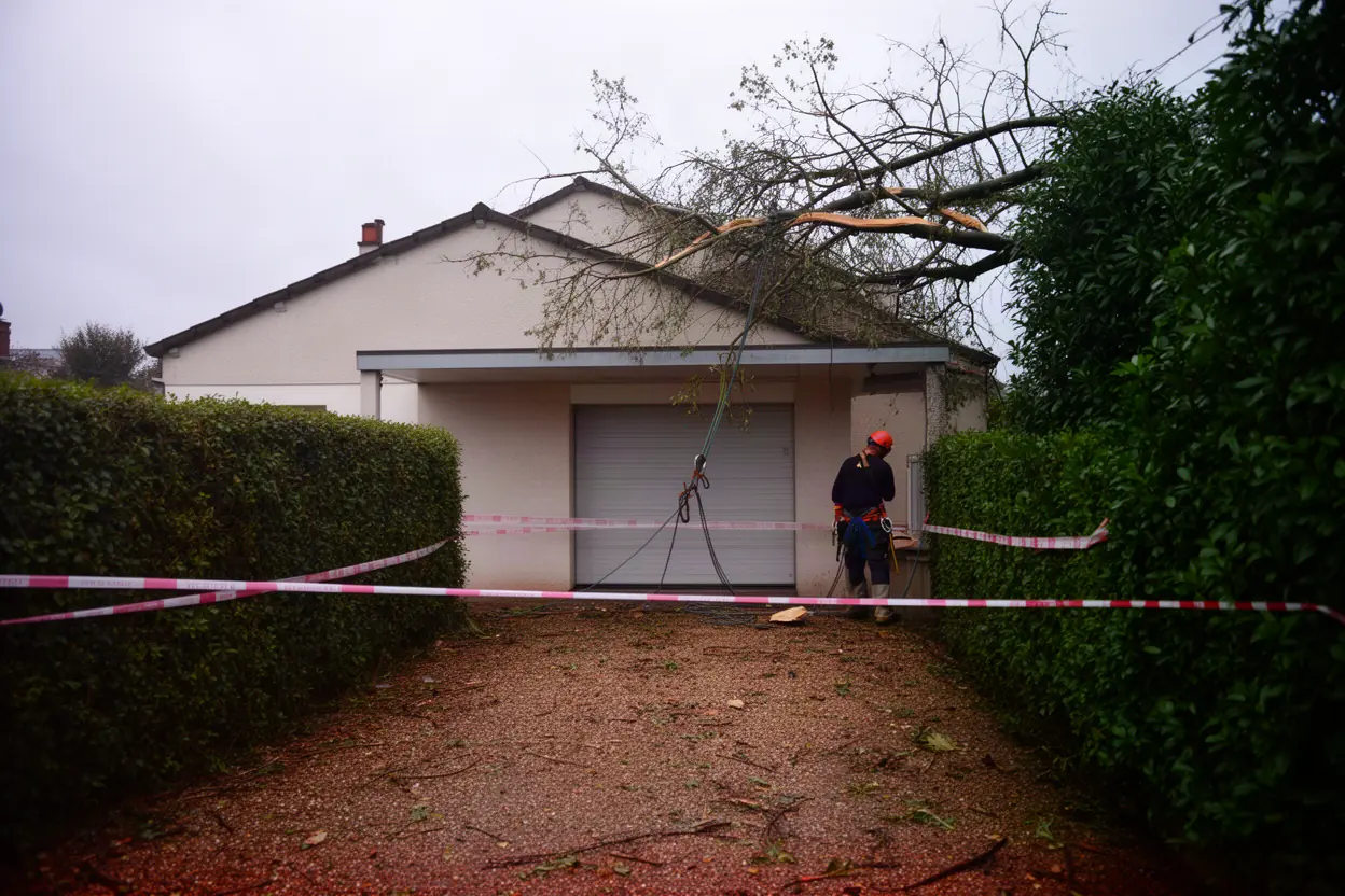 Élagueur sécurisant un arbre après tempête à Amiens